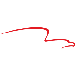 American Financial Group, Inc. Share Price